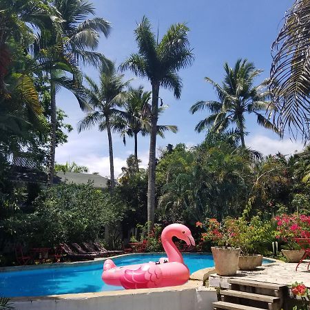 Hôtel Cabarete Surf Camp Extérieur photo
