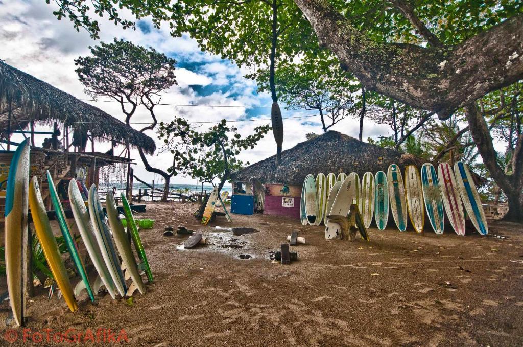 Hôtel Cabarete Surf Camp Extérieur photo