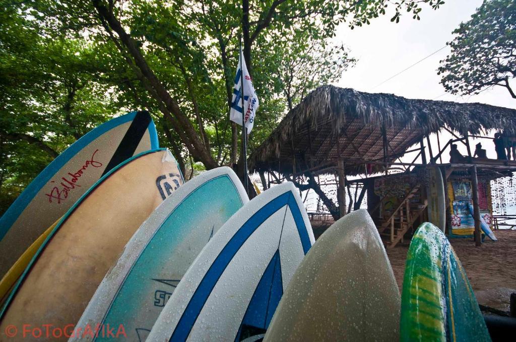 Hôtel Cabarete Surf Camp Extérieur photo