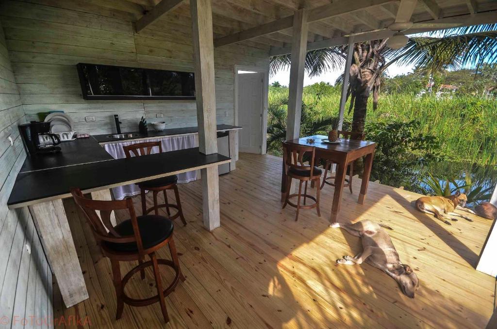 Hôtel Cabarete Surf Camp Extérieur photo