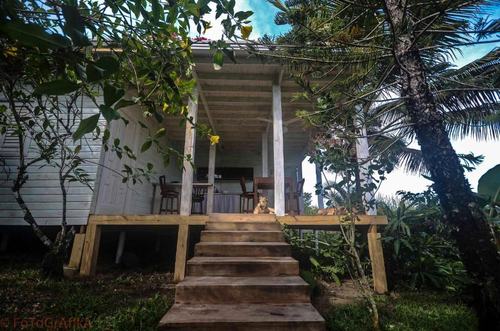 Hôtel Cabarete Surf Camp Extérieur photo