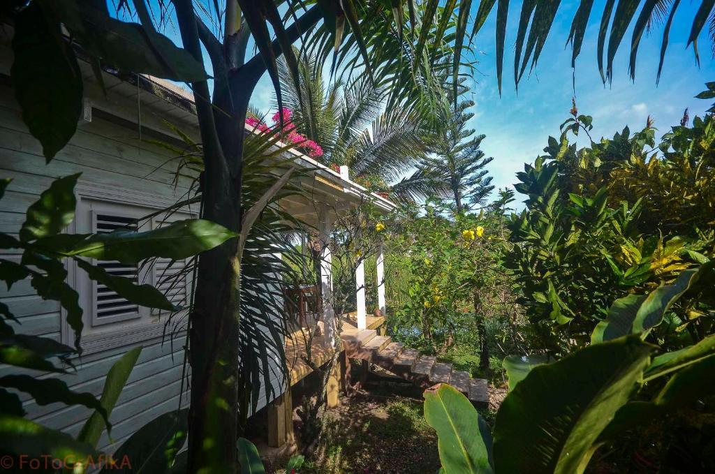Hôtel Cabarete Surf Camp Extérieur photo