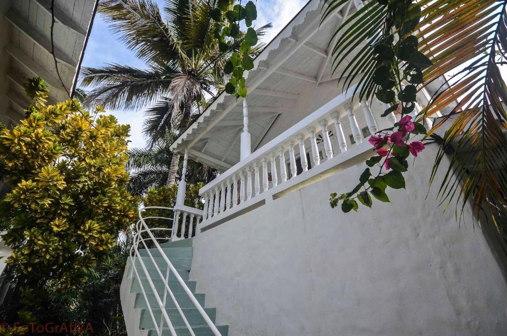 Hôtel Cabarete Surf Camp Extérieur photo