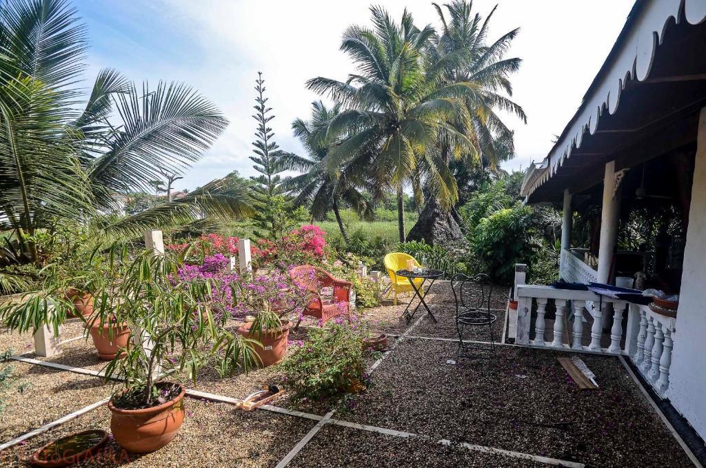 Hôtel Cabarete Surf Camp Extérieur photo