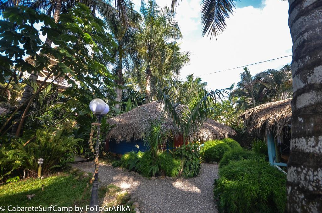 Hôtel Cabarete Surf Camp Extérieur photo
