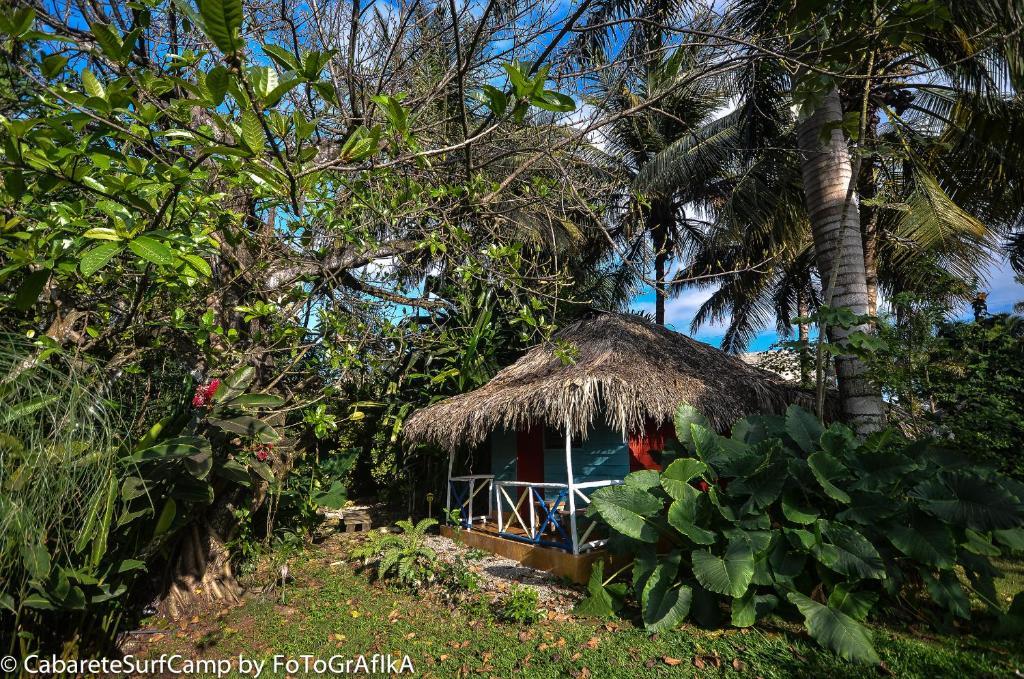 Hôtel Cabarete Surf Camp Extérieur photo