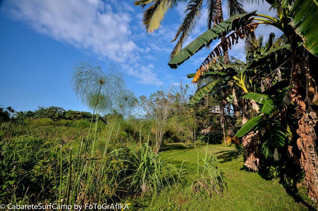Hôtel Cabarete Surf Camp Extérieur photo