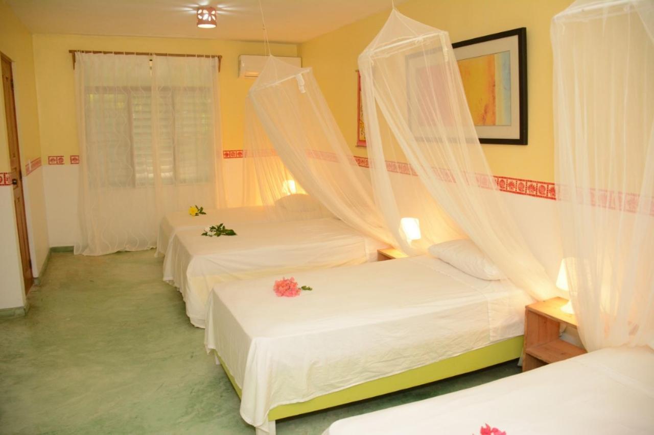 Hôtel Cabarete Surf Camp Extérieur photo